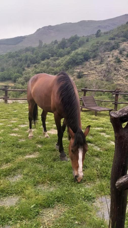Casa Rural Cortijo Molino Altero Trevélez 외부 사진