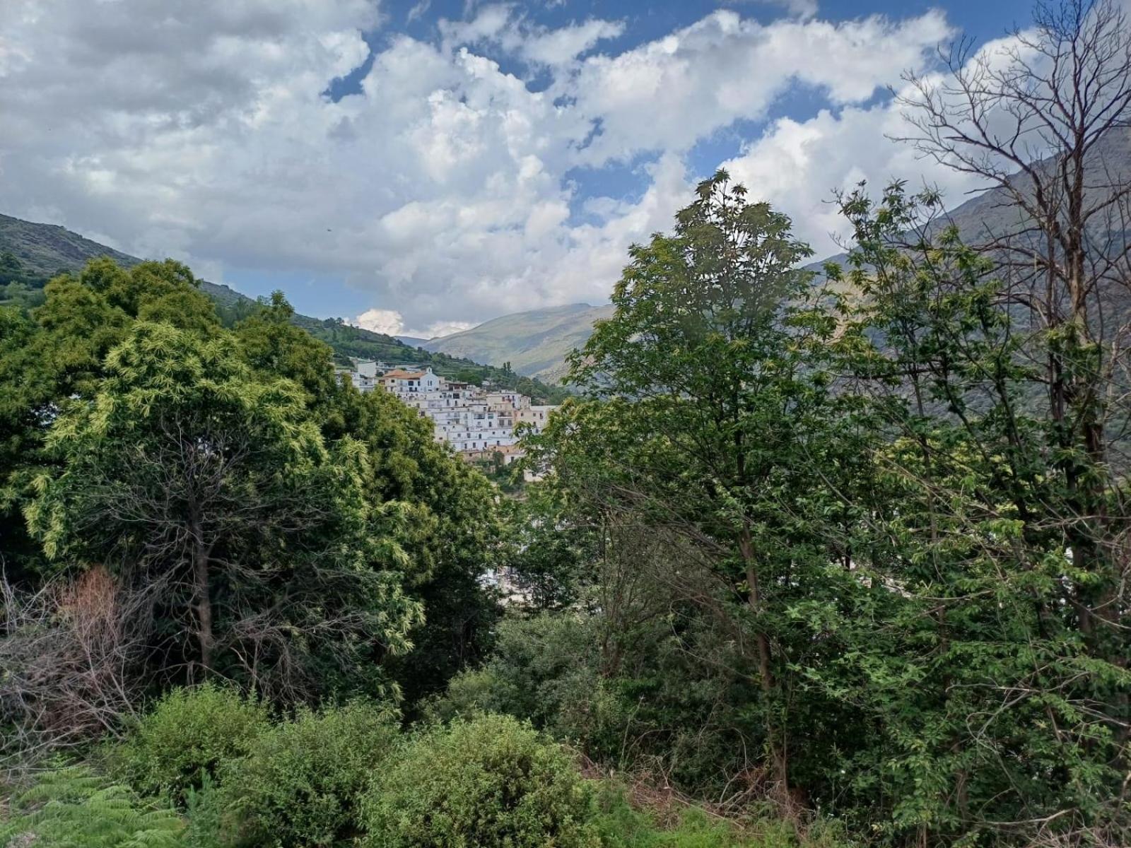 Casa Rural Cortijo Molino Altero Trevélez 외부 사진