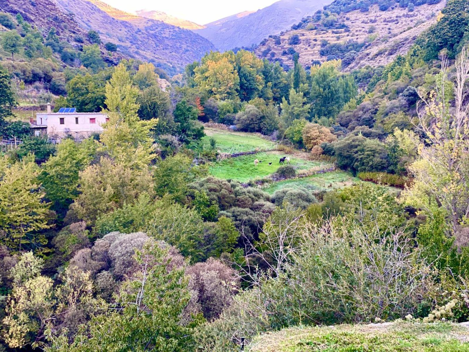 Casa Rural Cortijo Molino Altero Trevélez 외부 사진